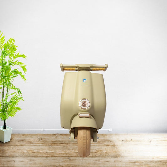 Electric Scooter (Big)